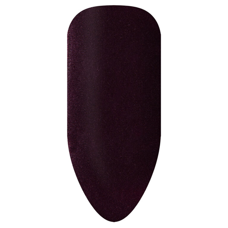 BIOGEL NR 2031 BLACK AUBERGINE - Color gel - famiglia purples