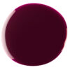 GEMINI NR 24 PORT WINE - Smalto per unghie - famiglia REDS - Abbinabile ai colori Biogel
