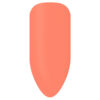 BIOGEL NR 249 CORAL CLUSTER - Color gel - famiglia oranges