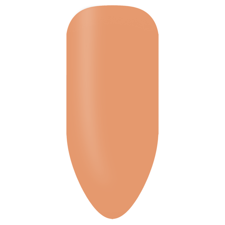 BIOGEL NR 266 CLAY PATHWAY - Color gel - famiglia oranges